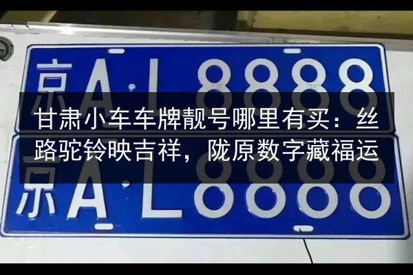 甘肃小车车牌靓号哪里有买：丝路驼铃映吉祥，陇原数字藏福运 第2张