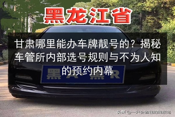 甘肃哪里能办车牌靓号的?揭秘车管所内部选号规则与不为人知的预约内幕 第3张 甘肃哪里能办车牌靓号的?揭秘车管所内部选号规则与不为人知的预约内幕 第3张