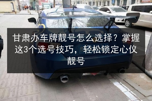 甘肃办车牌靓号怎么选择？掌握这3个选号技巧，轻松锁定心仪靓号 第3张