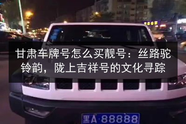 甘肃车牌号怎么买靓号：丝路驼铃韵，陇上吉祥号的文化寻踪 第1张