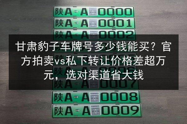 甘肃豹子车牌号多少钱能买？官方拍卖vs私下转让价格差超万元，选对渠道省大钱
