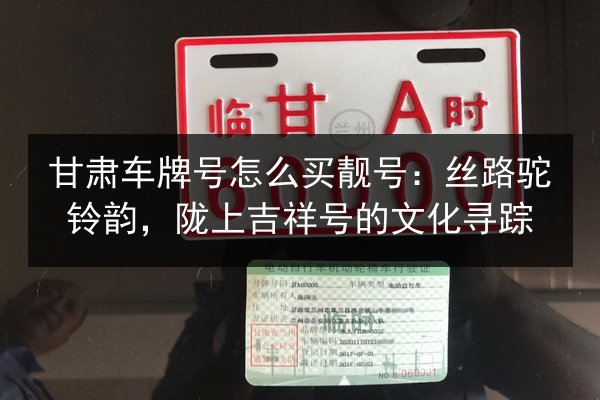 甘肃车牌号怎么买靓号：丝路驼铃韵，陇上吉祥号的文化寻踪 第3张
