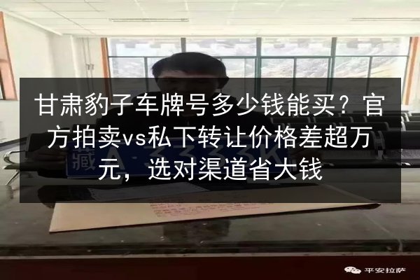 甘肃豹子车牌号多少钱能买？官方拍卖vs私下转让价格差超万元，选对渠道省大钱 第2张