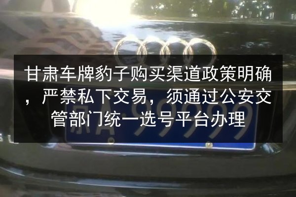 甘肃车牌豹子购买渠道政策明确，严禁私下交易，须通过公安交管部门统一选号平台办理 第2张