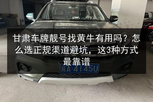 甘肃车牌靓号找黄牛有用吗？怎么选正规渠道避坑，这3种方式最靠谱 第3张