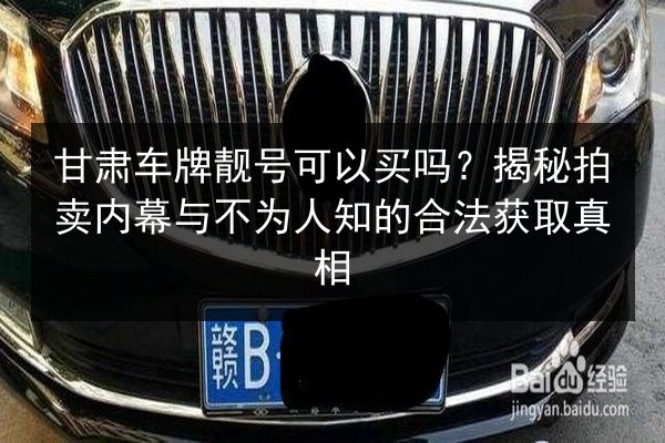 甘肃车牌靓号可以买吗？揭秘拍卖内幕与不为人知的合法获取真相 第2张