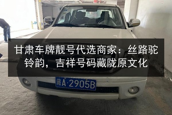 甘肃车牌靓号代选商家：丝路驼铃韵，吉祥号码藏陇原文化 第2张
