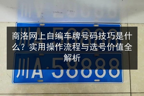 商洛网上自编车牌号码技巧是什么？实用操作流程与选号价值全解析 第1张
