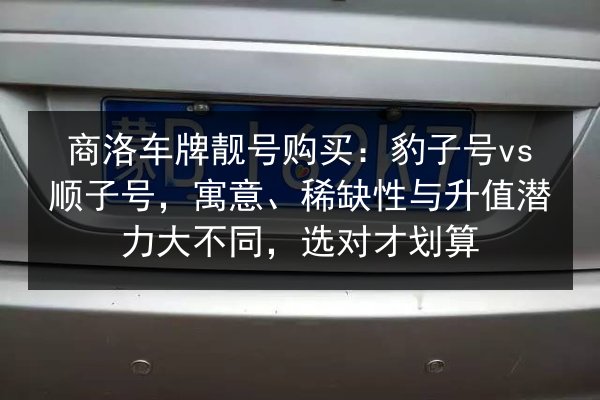 商洛车牌靓号购买：豹子号vs顺子号，寓意、稀缺性与升值潜力大不同，选对才划算 第2张