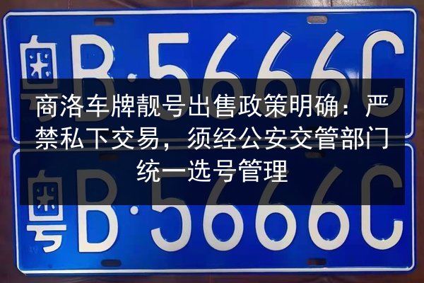 商洛车牌靓号出售政策明确：严禁私下交易，须经公安交管部门统一选号管理 第3张