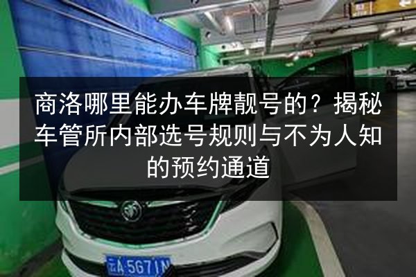 商洛哪里能办车牌靓号的？揭秘车管所内部选号规则与不为人知的预约通道