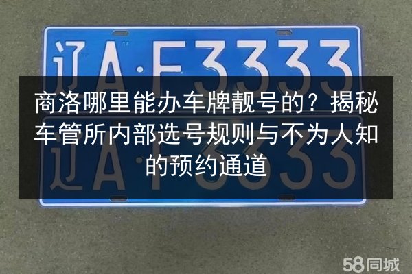 商洛哪里能办车牌靓号的?揭秘车管所内部选号规则与不为人知的预约通道 第2张 商洛哪里能办车牌靓号的?揭秘车管所内部选号规则与不为人知的预约通道 第2张