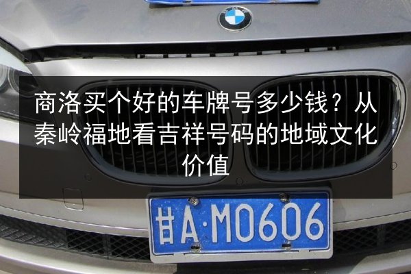 商洛买个好的车牌号多少钱？从秦岭福地看吉祥号码的地域文化价值 第2张