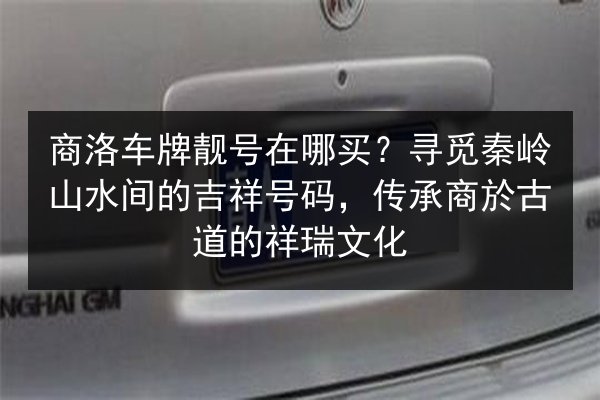 商洛车牌靓号在哪买?寻觅秦岭山水间的吉祥号码,传承商於古道的祥瑞文化 第3张 商洛车牌靓号在哪买?寻觅秦岭山水间的吉祥号码,传承商於古道的祥瑞文化 第3张