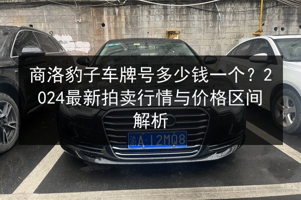 商洛豹子车牌号多少钱一个?2024最新拍卖行情与价格区间解析 第2张 商洛豹子车牌号多少钱一个?2024最新拍卖行情与价格区间解析 第2张