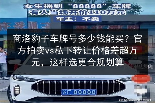 商洛豹子车牌号多少钱能买?官方拍卖vs私下转让价格差超万元,这样选更合规划算 第1张 商洛豹子车牌号多少钱能买?官方拍卖vs私下转让价格差超万元,这样选更合规划算 第1张