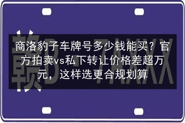 商洛豹子车牌号多少钱能买?官方拍卖vs私下转让价格差超万元,这样选更合规划算 第2张 商洛豹子车牌号多少钱能买?官方拍卖vs私下转让价格差超万元,这样选更合规划算 第2张