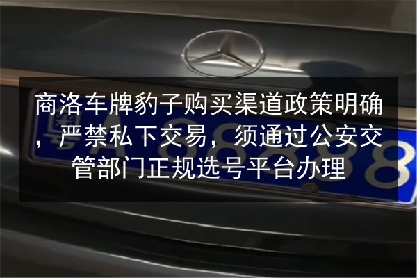 商洛车牌豹子购买渠道政策明确,严禁私下交易,须通过公安交管部门正规选号平台办理 第3张 商洛车牌豹子购买渠道政策明确,严禁私下交易,须通过公安交管部门正规选号平台办理 第3张