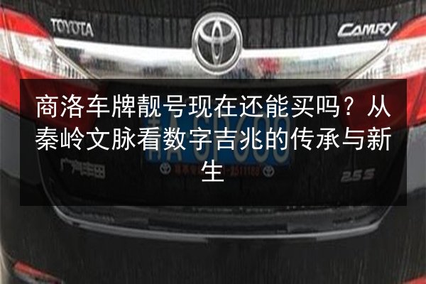 商洛车牌靓号现在还能买吗？从秦岭文脉看数字吉兆的传承与新生 第2张