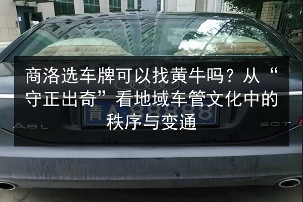 商洛选车牌可以找黄牛吗?从“守正出奇”看地域车管文化中的秩序与变通 第3张 商洛选车牌可以找黄牛吗?从“守正出奇”看地域车管文化中的秩序与变通 第3张
