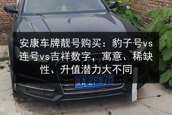 安康车牌靓号购买：豹子号vs连号vs吉祥数字，寓意、稀缺性、升值潜力大不同 第3张