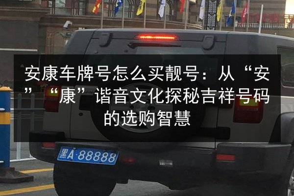 安康车牌号怎么买靓号：从“安”“康”谐音文化探秘吉祥号码的选购智慧 第3张