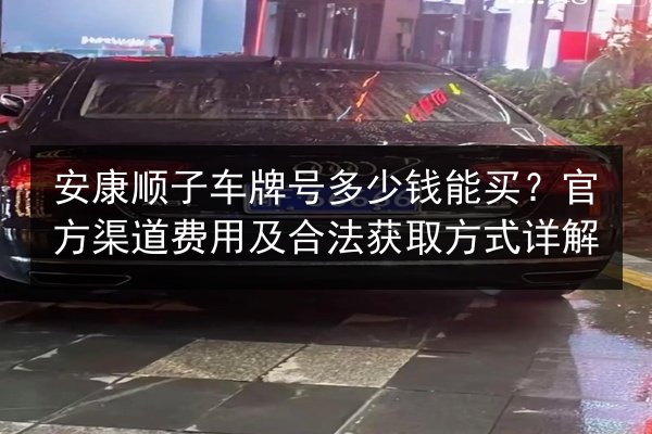 安康顺子车牌号多少钱能买？官方渠道费用及合法获取方式详解 第3张