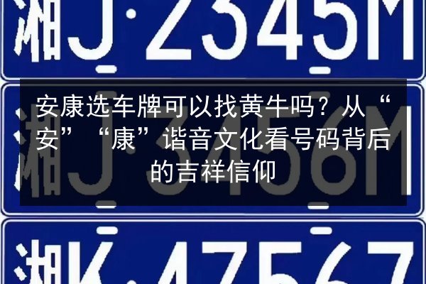 安康选车牌可以找黄牛吗?从“安”“康”谐音文化看号码背后的吉祥信仰 第2张 安康选车牌可以找黄牛吗?从“安”“康”谐音文化看号码背后的吉祥信仰 第2张