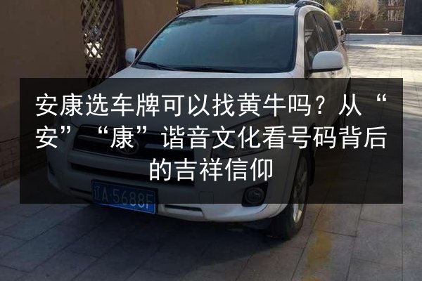 安康选车牌可以找黄牛吗?从“安”“康”谐音文化看号码背后的吉祥信仰 第3张 安康选车牌可以找黄牛吗?从“安”“康”谐音文化看号码背后的吉祥信仰 第3张