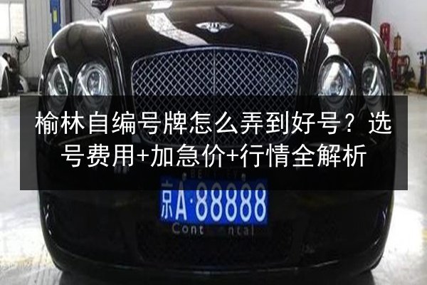 榆林自编号牌怎么弄到好号?选号费用+加急价+行情全解析 第3张 榆林自编号牌怎么弄到好号?选号费用+加急价+行情全解析 第3张