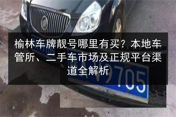 榆林车牌靓号哪里有买?本地车管所、二手车市场及正规平台渠道全解析 第3张 榆林车牌靓号哪里有买?本地车管所、二手车市场及正规平台渠道全解析 第3张