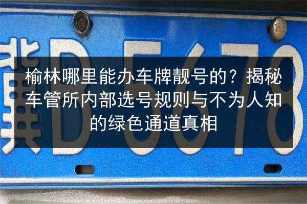 榆林哪里能办车牌靓号的？揭秘车管所内部选号规则与不为人知的绿色通道真相