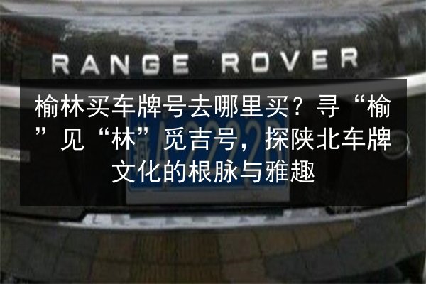 榆林买车牌号去哪里买？寻“榆”见“林”觅吉号，探陕北车牌文化的根脉与雅趣 第2张