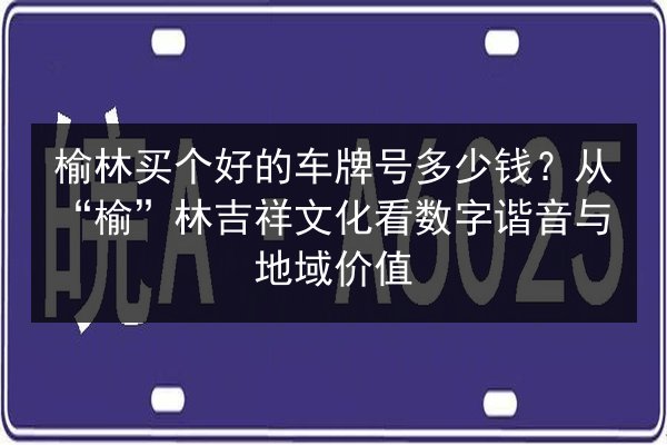 榆林买个好的车牌号多少钱?从“榆”林吉祥文化看数字谐音与地域价值 第3张 榆林买个好的车牌号多少钱?从“榆”林吉祥文化看数字谐音与地域价值 第3张