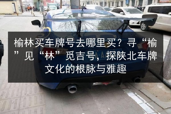 榆林买车牌号去哪里买？寻“榆”见“林”觅吉号，探陕北车牌文化的根脉与雅趣 第3张