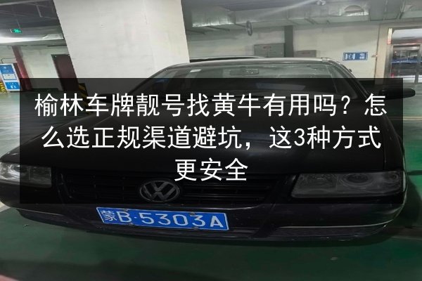 榆林车牌靓号找黄牛有用吗？怎么选正规渠道避坑，这3种方式更安全
