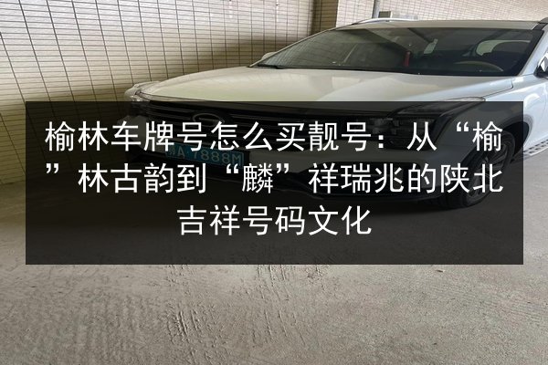 榆林车牌号怎么买靓号：从“榆”林古韵到“麟”祥瑞兆的陕北吉祥号码文化 第2张