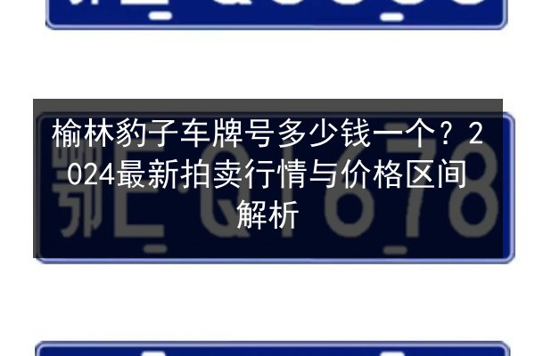榆林豹子车牌号多少钱一个？2024最新拍卖行情与价格区间解析 第2张