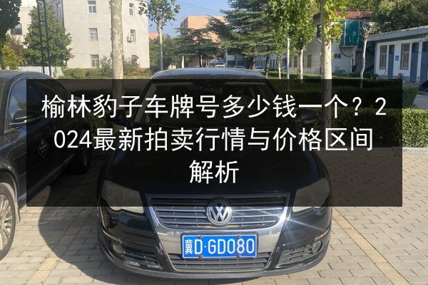 榆林豹子车牌号多少钱一个？2024最新拍卖行情与价格区间解析 第3张