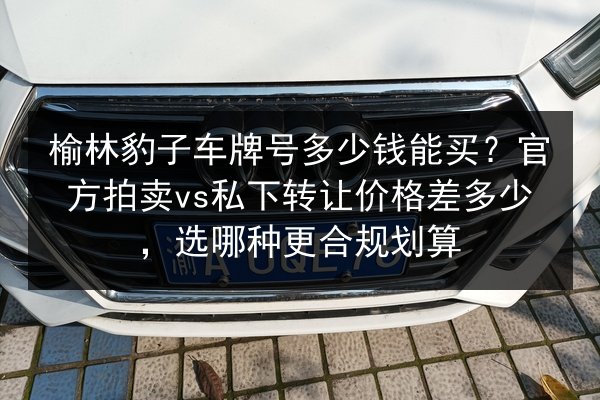 榆林豹子车牌号多少钱能买?官方拍卖vs私下转让价格差多少,选哪种更合规划算 第2张 榆林豹子车牌号多少钱能买?官方拍卖vs私下转让价格差多少,选哪种更合规划算 第2张