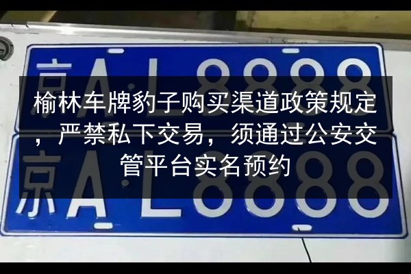 榆林车牌豹子购买渠道政策规定,严禁私下交易,须通过公安交管平台实名预约 第1张 榆林车牌豹子购买渠道政策规定,严禁私下交易,须通过公安交管平台实名预约 第1张