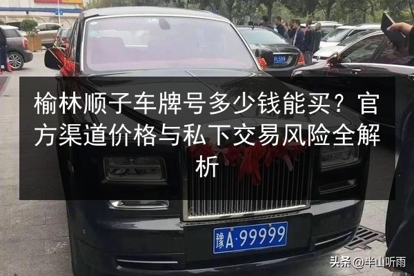 榆林顺子车牌号多少钱能买？官方渠道价格与私下交易风险全解析