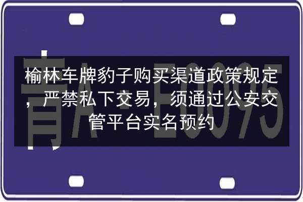 榆林车牌豹子购买渠道政策规定,严禁私下交易,须通过公安交管平台实名预约 第3张 榆林车牌豹子购买渠道政策规定,严禁私下交易,须通过公安交管平台实名预约 第3张