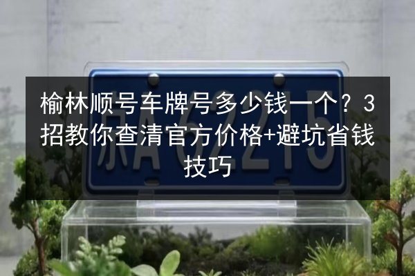 榆林顺号车牌号多少钱一个？3招教你查清官方价格+避坑省钱技巧 第2张