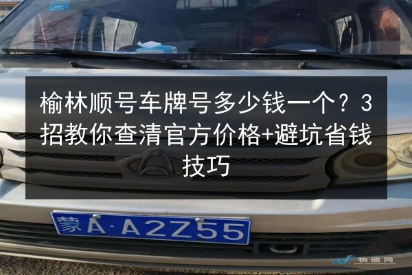 榆林顺号车牌号多少钱一个？3招教你查清官方价格+避坑省钱技巧 第3张