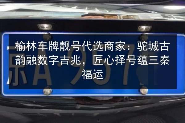 榆林车牌靓号代选商家：驼城古韵融数字吉兆，匠心择号蕴三秦福运 第2张