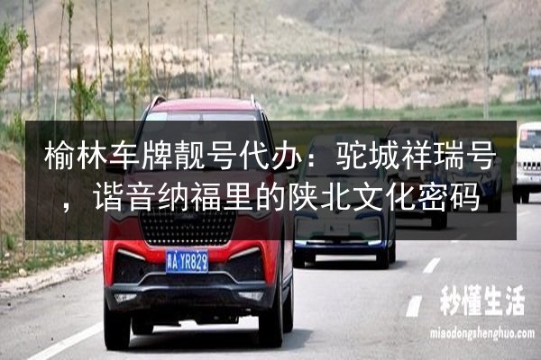 榆林车牌靓号代办:驼城祥瑞号,谐音纳福里的陕北文化密码 第1张 榆林车牌靓号代办:驼城祥瑞号,谐音纳福里的陕北文化密码 第1张