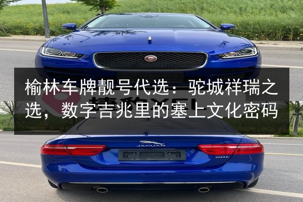 榆林车牌靓号代选：驼城祥瑞之选，数字吉兆里的塞上文化密码 第2张