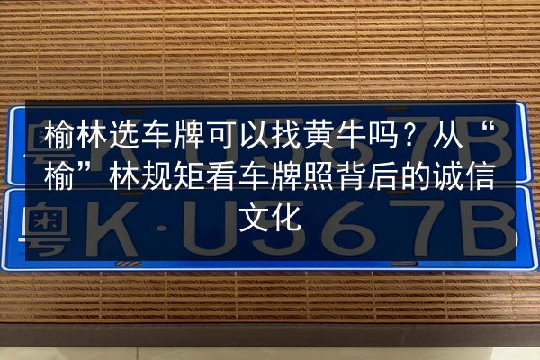 榆林选车牌可以找黄牛吗？从“榆”林规矩看车牌照背后的诚信文化 第2张
