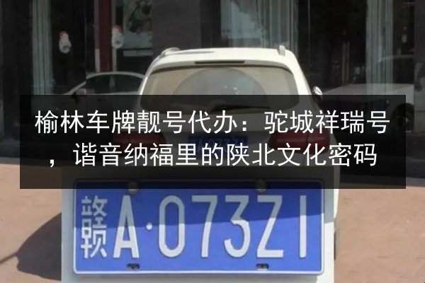 榆林车牌靓号代办:驼城祥瑞号,谐音纳福里的陕北文化密码 第3张 榆林车牌靓号代办:驼城祥瑞号,谐音纳福里的陕北文化密码 第3张
